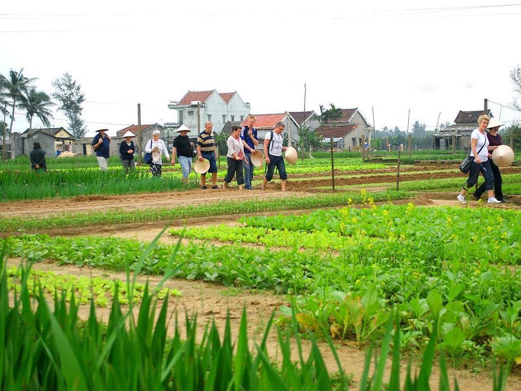 Green House Homestay Χόι Αν Εξωτερικό φωτογραφία